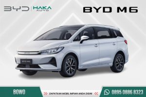 BYD M6