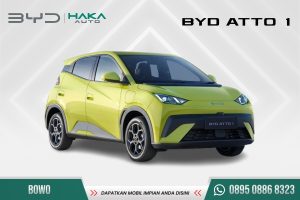 BYD ATTO 1